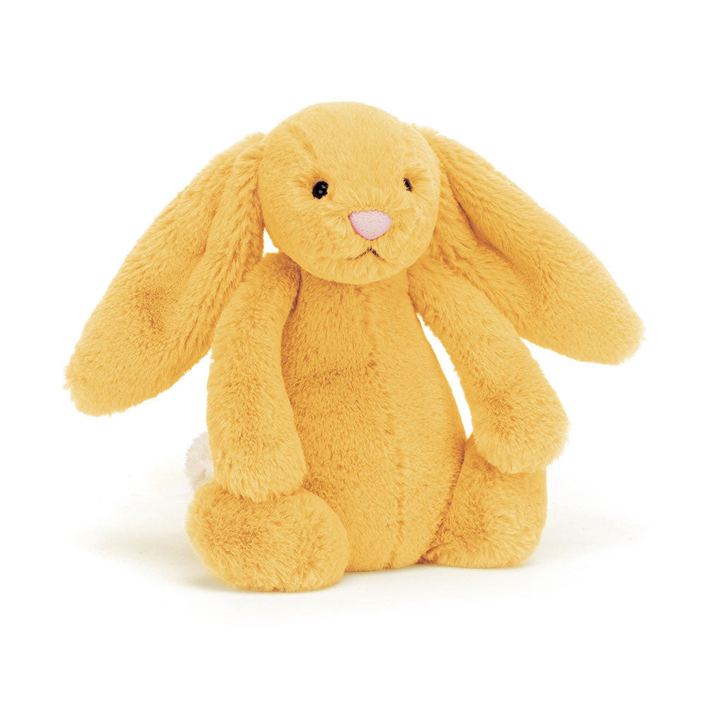 I am Small Bashful Sunshine Bunny