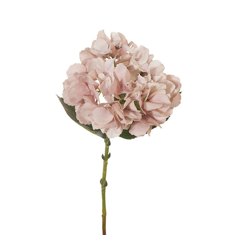 Hydrangea Soft Pink 45cml