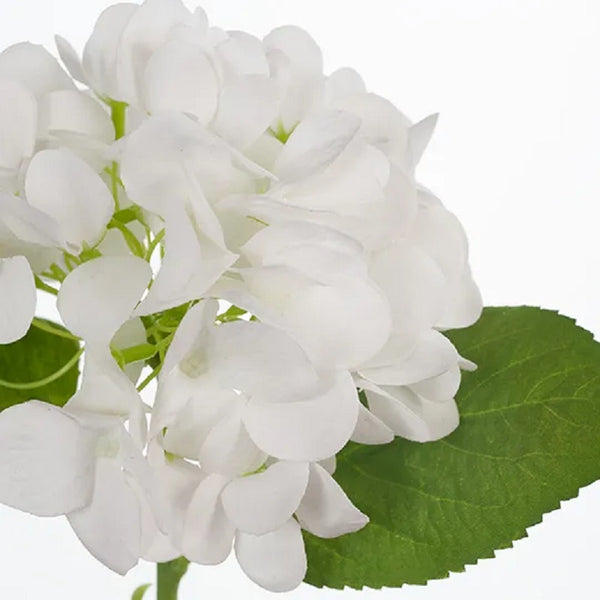 Hydrangea White 33cml