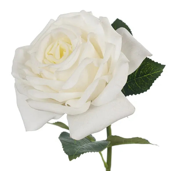 Rose Bella Cream White 37cm